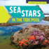 Sea Stars in the Tide Pool (Critters By the Sea)