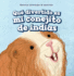 Qu Divertido Es Mi Conejito De Indias / My Guinea Pig is Funny (Historias Divertidas De Mascotas / Fun Pet Stories) (Spanish Edition)