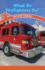 What Do Firefighters Do? : Roles in My Community (Civics for the Real World)
