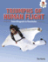 Triumphs of Human Flight Format: Library Bound