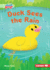 Duck Sees the Rain (Pull Ahead Readers)