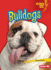 Bulldogs