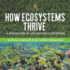 How Ecosystems Thrive: a Discussion of Life Within Ecosystems Life Science Biology 4th Grade Children's Biology Books