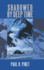 Shadowed By Deep Time