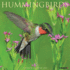 Hummingbirds 2025 Wall