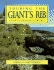 Touring the Giant's Rib