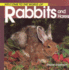 Welcome to the World of Rabbits and Hares (Welcome to the World Series)