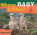 Whose Baby is This? (Whose? Animal Series)