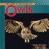 Welcome to the World of Owls (Welcome to the World Series)