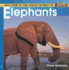 Welcome to the World of Elephants (Welcome to the World Series)