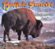 Buffalo Sunrise: the Story of a North American Giant