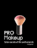 Pro Makeup: Salon Secrets of the Professionals