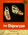 The Chipewyan-Subarctic (Indians of North America)