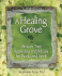 A Healing Grove: African Tree Remedies and Rituals for the Body and Spirit