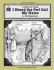 A Guide for Using I Heard the Owl Call My Name in the Classroom