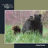 Black Bear (Our Wild World)