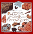 Rocks, Fossils & Arrowheads (Take Along Guides)