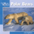 Polar Bears (Our Wild World)