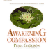 Awakening Compassion Meditation Practice for Difficult Times