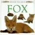 Fox (See How They Grow)