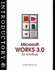 Introductory Microsoft Works 3.0 for Windows