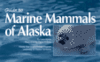 Guide to Marine Mammals of Alaska