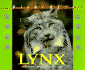 Wildcats of North America-Lynx