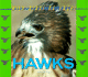 Wild Birds of Prey-Hawks