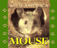 Mouse (Wild America)