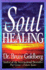 Soul Healing (Llewellyn's Whole Life Series)