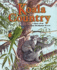 Koala Country: a Story of an Australian Eucalyptus Forest