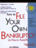 How to File Your Own Bankruptcy: (Or How to Avoid It) (How to File Your Own Bankruptcy)