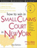 How to Win in Small Claims Court in New York (Legal Survival Guides)