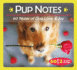 Pup Notes
