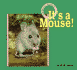 It's a Mouse (Creatures All Around Us)