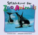 Splashtime for Zoo Animals