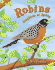 Robins: Songbirds of Spring