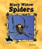 Black Widow Spiders