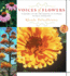 Voices of Flowers: Learning to Use the Essence of Flowers to Heal Ourselves