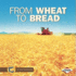 From Wheat to Bread