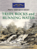Trees, Rocks and Running Water: Paint a Watercolor Landscape in Minutes