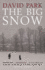 Big Snow