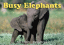 Busy Elephants (a Busy Book)