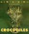 Crocodiles (the Wild World of Animals)