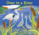 Over in a River: Flowing Out to the Sea