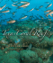 Texas Coral Reefs (Volume 13) (Gulf Coast Books, Sponsored By Texas a&M University-Corpus Christi)