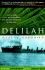 Delilah: a Novel About a U.S. Navy Destroyer and the Epic Struggles of Her Crew