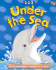 Under the Sea Format: Paperback