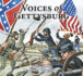 Voices of Gettysburg (Voices of History)