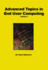 Advanced Topics in End User Computing, Volume 2